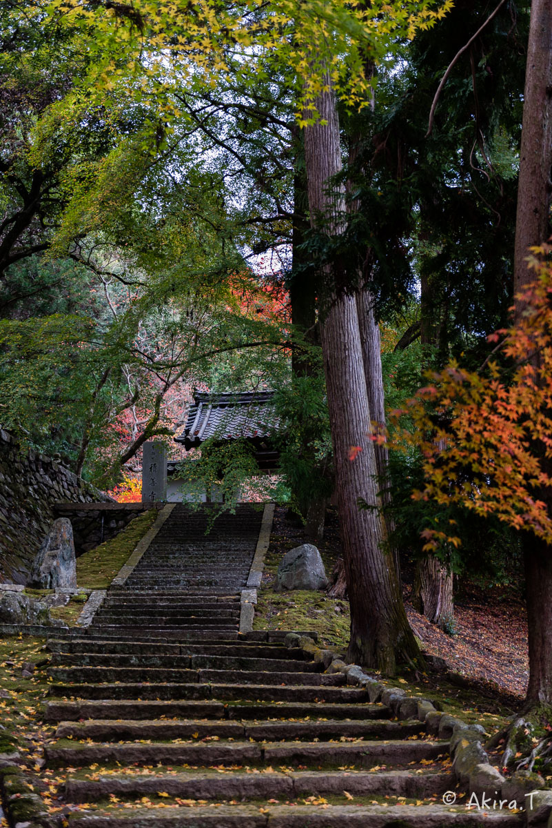 京都・亀岡の紅葉 2015 〜積善寺〜 2_f0152550_1643542.jpg