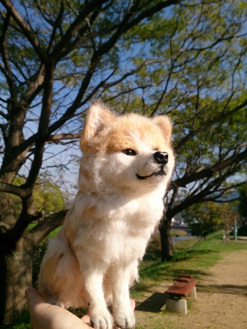 b0193754_11283669.jpg
