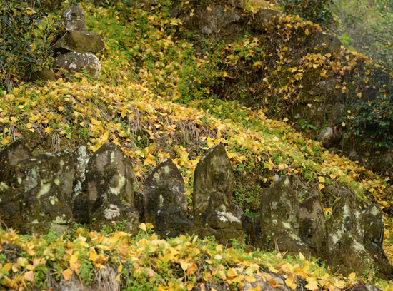 b0016557_1310260.jpg
