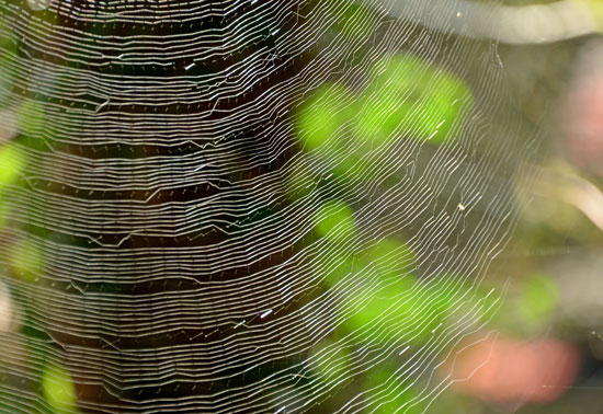 b0016557_1365733.jpg