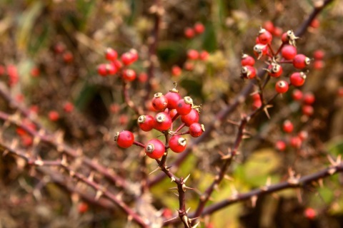 a0248459_09173685.jpg