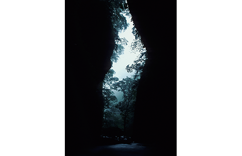 d0253060_11113683.png