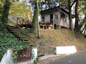 小国町で育ったしいたけ!_b0112371_1642345.jpg