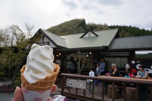 小国町で育ったしいたけ!_b0112371_16504222.jpg