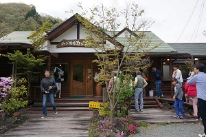 小国町で育ったしいたけ!_b0112371_1650728.jpg