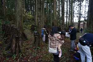 小国町で育ったしいたけ!_b0112371_165960.jpg
