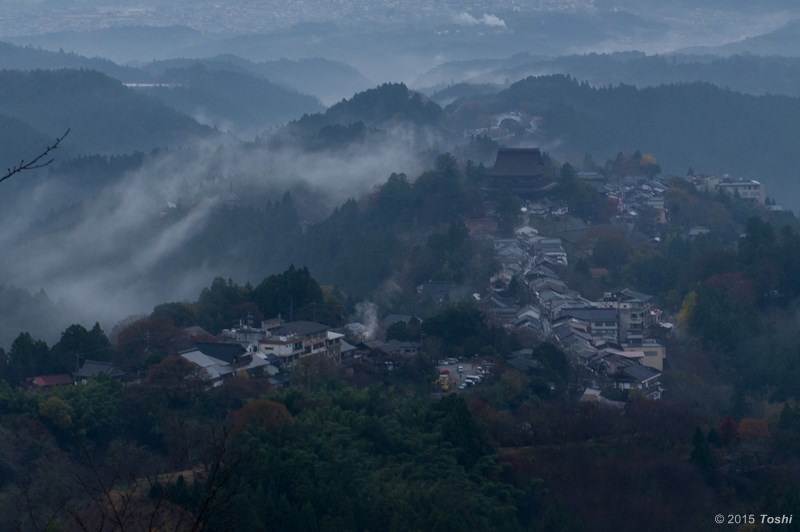 雨に期待して_c0350572_22050706.jpg