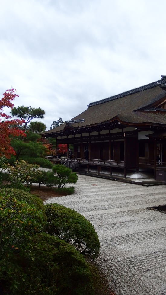 京都日帰り旅行　仁和寺_a0019082_2391265.jpg