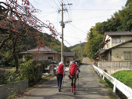 2015.11.21（土）香春岳・自主山行_d0326888_14324154.jpg