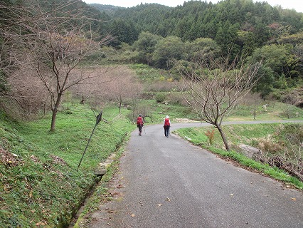 2015.11.21（土）香春岳・自主山行_d0326888_14333875.jpg