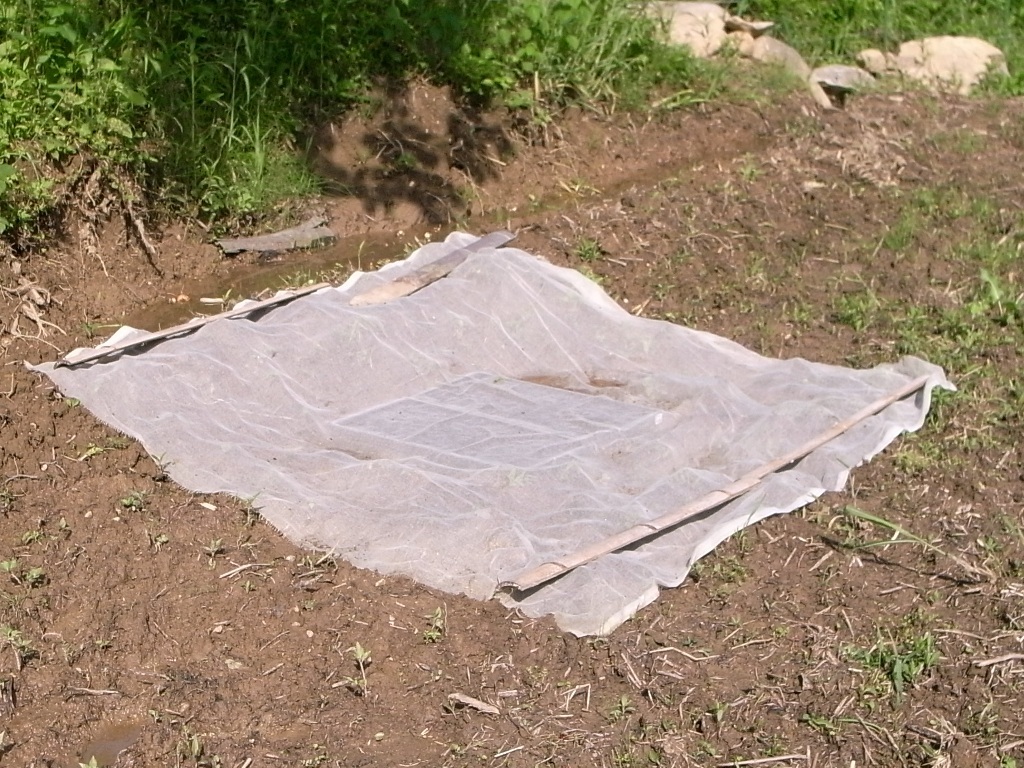 a0336693_16281200.jpg