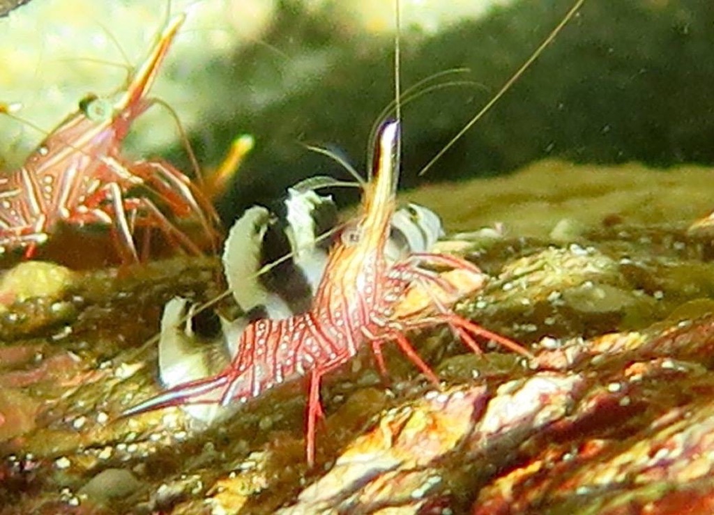 e0115199_13145474.jpg