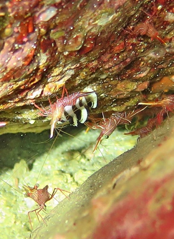 e0115199_13145985.jpg