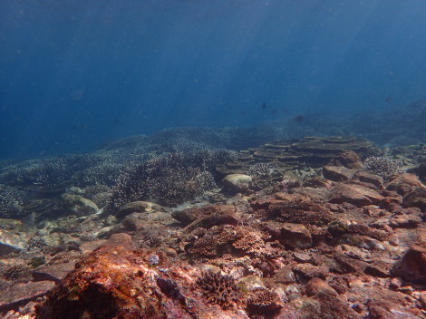 e0115199_13182575.jpg