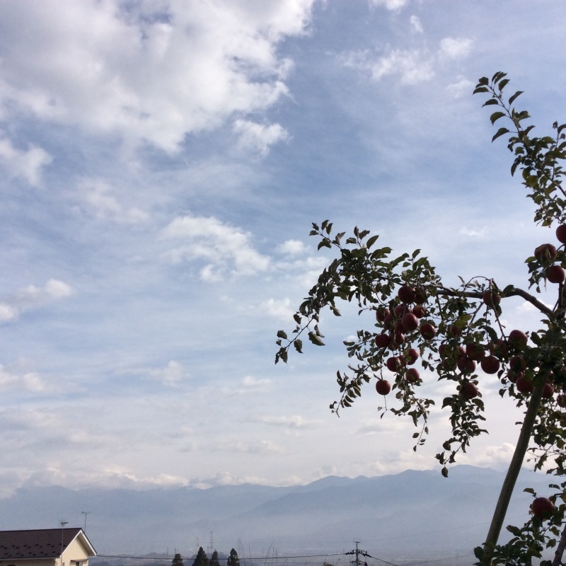 b0220002_23014083.jpeg