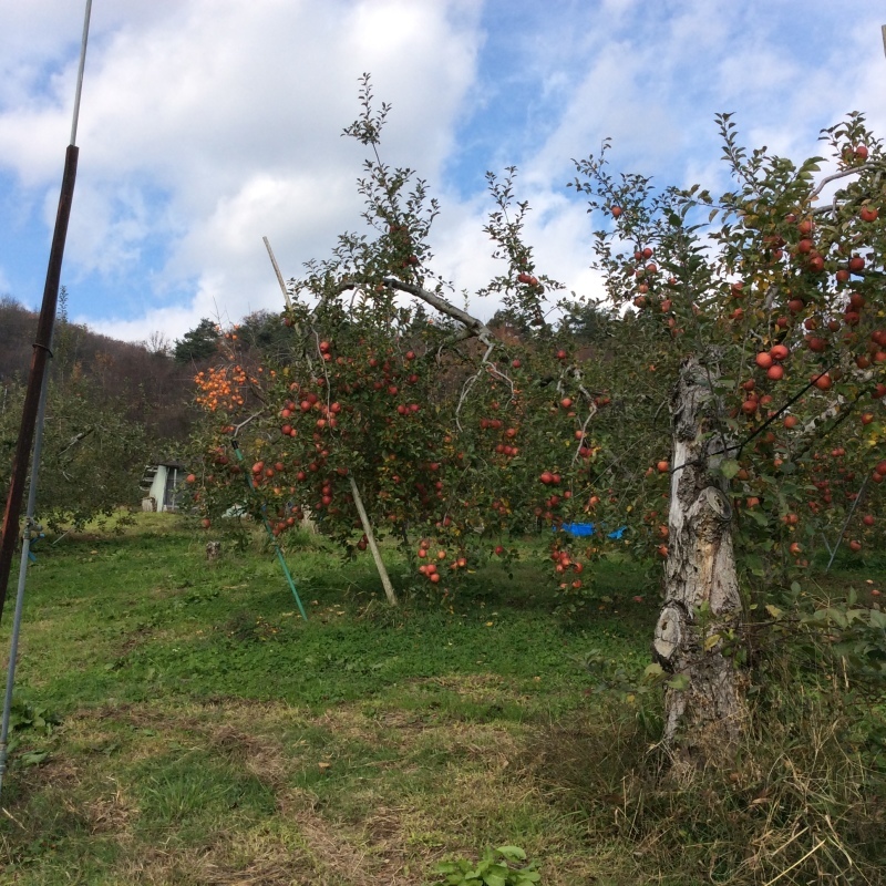 b0220002_23064174.jpeg