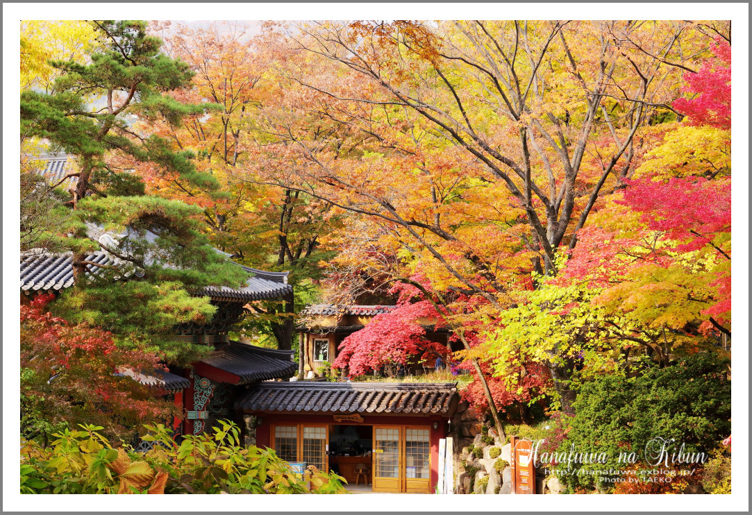 ソウルの秋　- 吉祥寺 -_b0085708_00495918.jpg