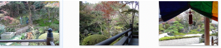 f0231709_16274450.gif