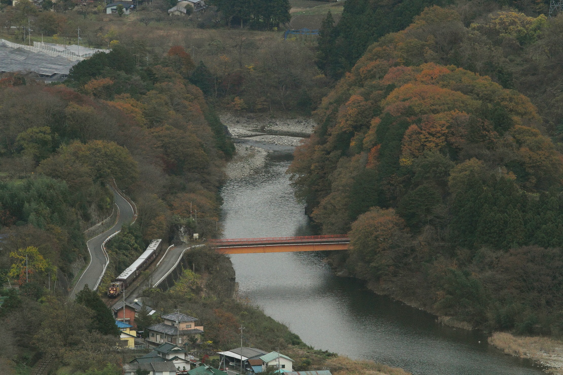 木立と紅葉の間 - 2015年紅葉・わたらせ渓谷鉄道 - _b0190710_22483375.jpg