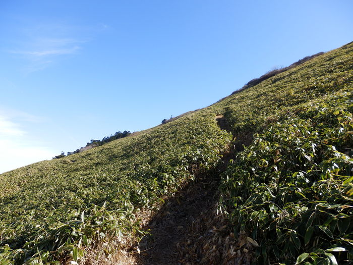 f0219710_6235382.jpg
