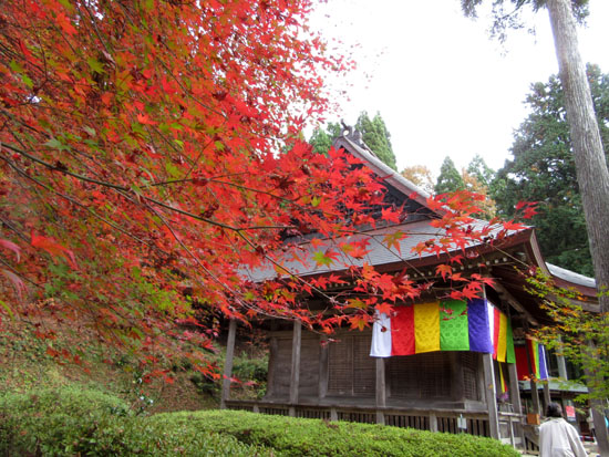 紅葉だより33 鶏足寺_e0048413_19374259.jpg