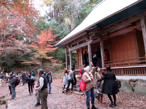 紅葉だより33 鶏足寺_e0048413_19385864.jpg