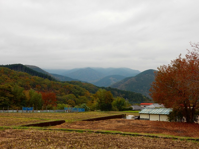 f0182513_20594338.jpg