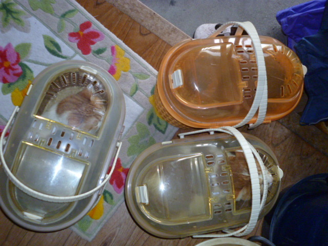 f0357714_17214021.jpg