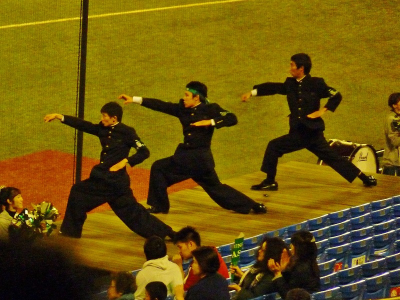 第46回明治神宮大会 東海大対亜細亜大 11月17日 後半_b0166128_14402489.jpg