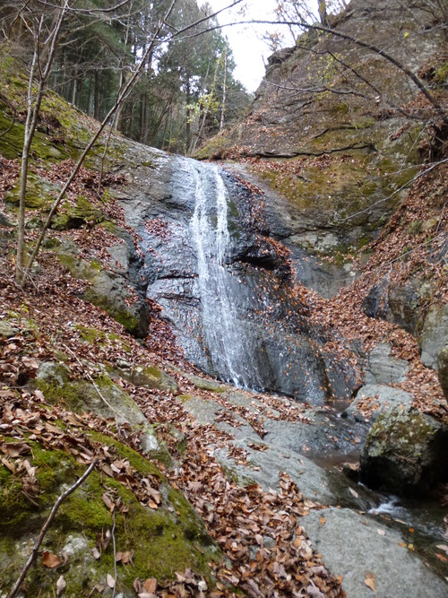 f0304030_16592040.jpg