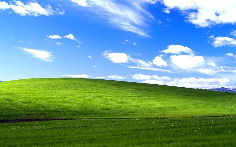 今年は Windows95 発売周年 四季彩の部屋 今年は Windows95 発売周年 四季彩の部屋
