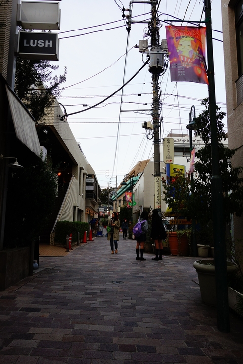 a0287336_1883121.jpg