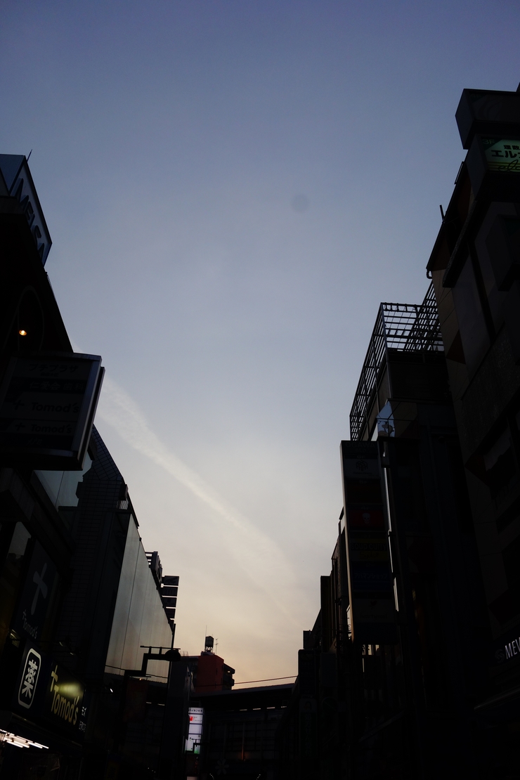 a0287336_1894110.jpg