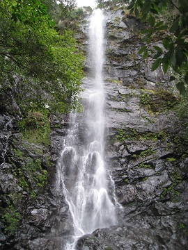 c0077338_61235.jpg