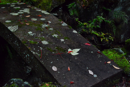 c0093046_883843.gif
