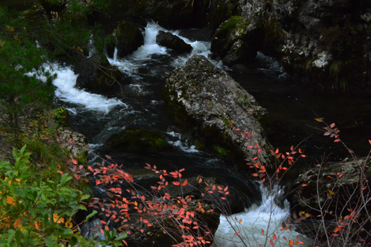 c0093046_885326.gif