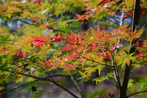 f0343750_12273198.jpg