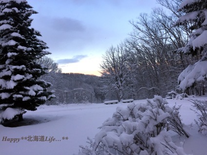 ＊＊ snow white  北海道 ＊＊_a0337860_17272705.jpeg