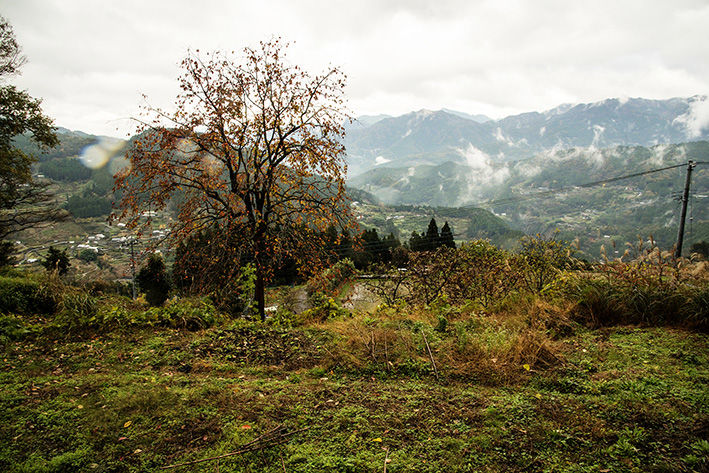 雨烟る山村の集落の景色です_f0231460_21395144.jpg