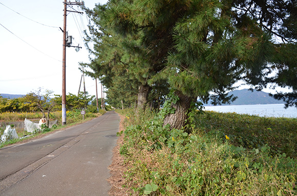 北国海道 安曇川から近江中庄を行く_e0164563_916812.jpg