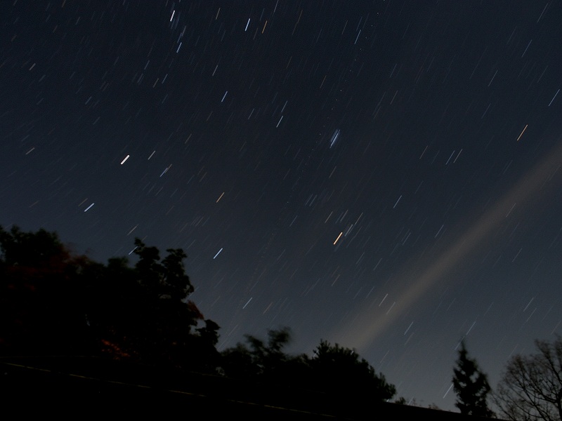 d0128465_1074347.jpg