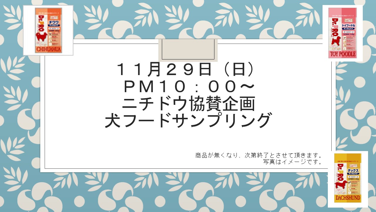 151124 ウインターフェア&イベント告知_e0181866_101861.jpg