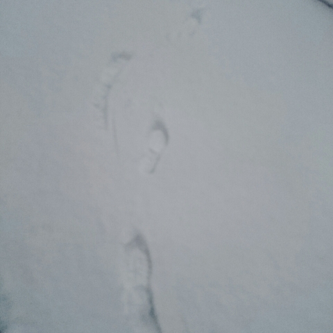 c0311170_06395800.jpg