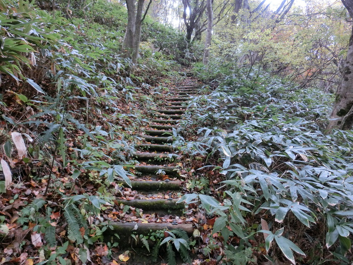 Ｎo419 中国山地・鳥取県側より毛無山～白馬山ピストン_b0185573_1643928.jpg