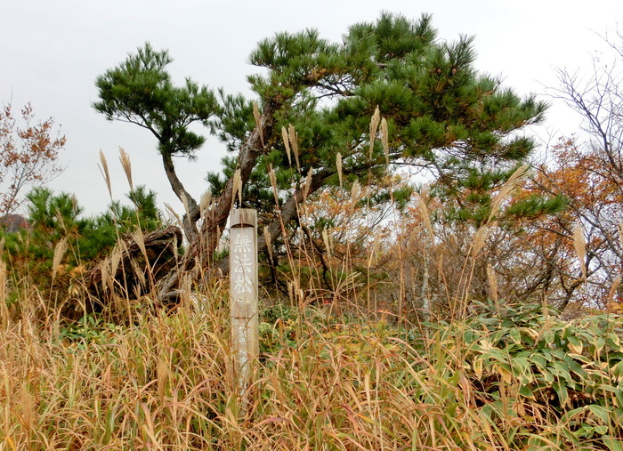 Ｎo419 中国山地・鳥取県側より毛無山～白馬山ピストン_b0185573_20422688.jpg