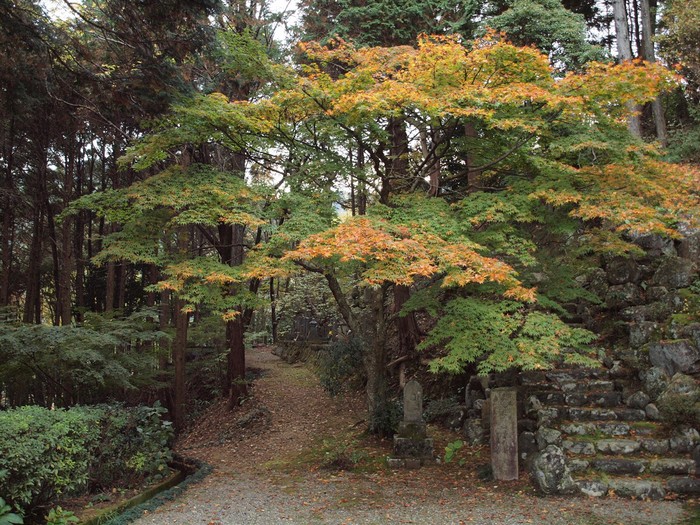 『延算寺の秋風景・・・』_d0054276_2047427.jpg