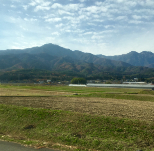 東京発　東京行き　大きく一筆書きの旅 （飯田線～中央本線編）3_e0062977_06235317.jpg