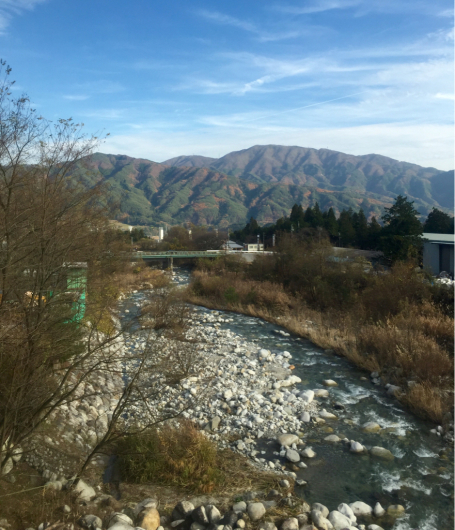 東京発　東京行き　大きく一筆書きの旅 （飯田線～中央本線編）3_e0062977_06235479.jpg