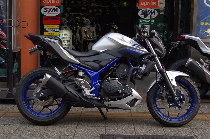 高価値セリー RG250E用 フェンダーレスキット 新品 ienomat.com.br