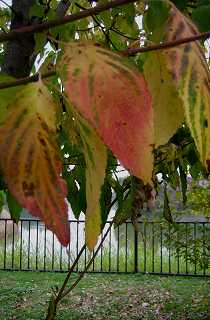 c0229483_23482619.jpg